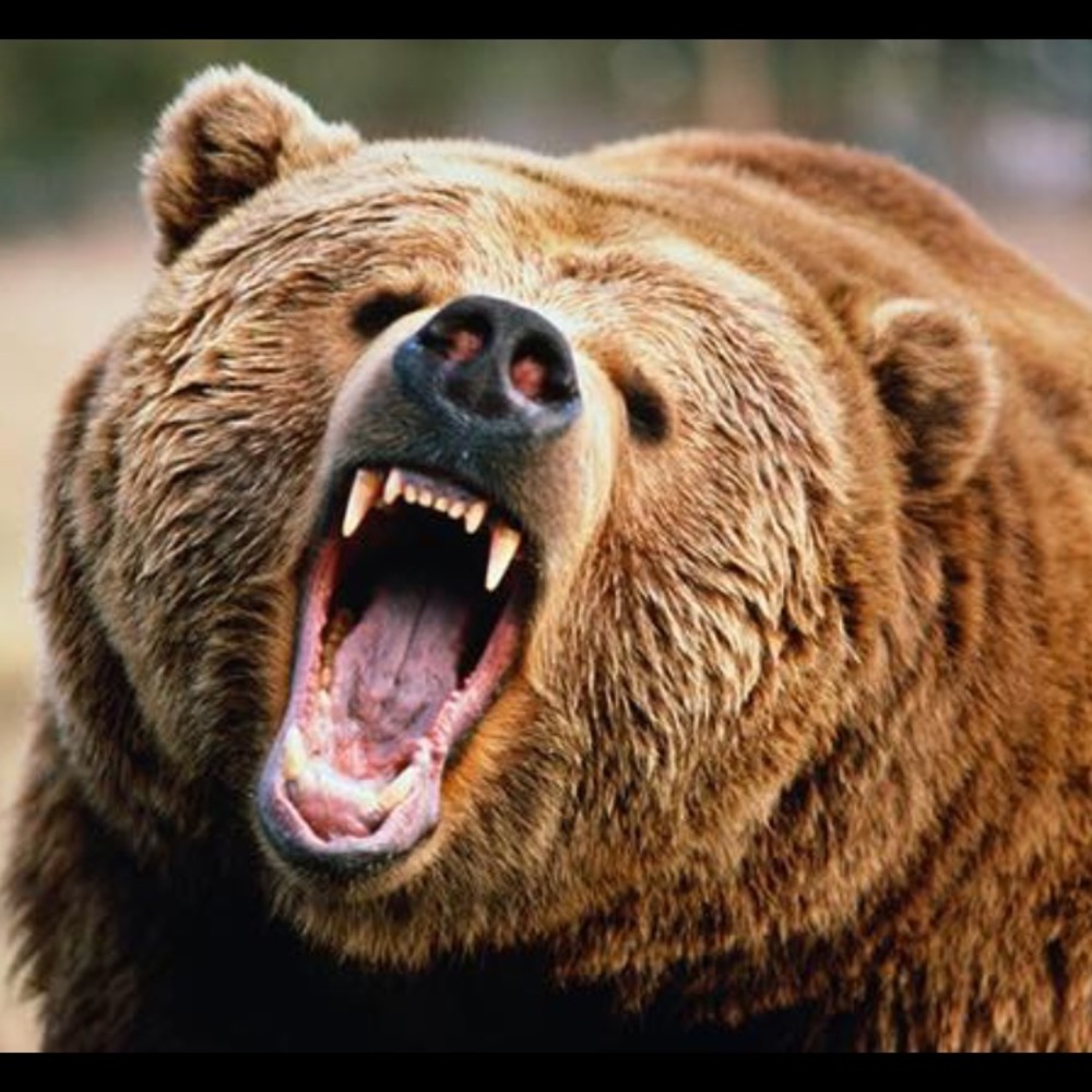 Meet your Posher, Aimee